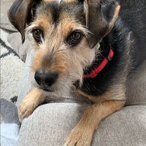 Meet your Posher, Melissa